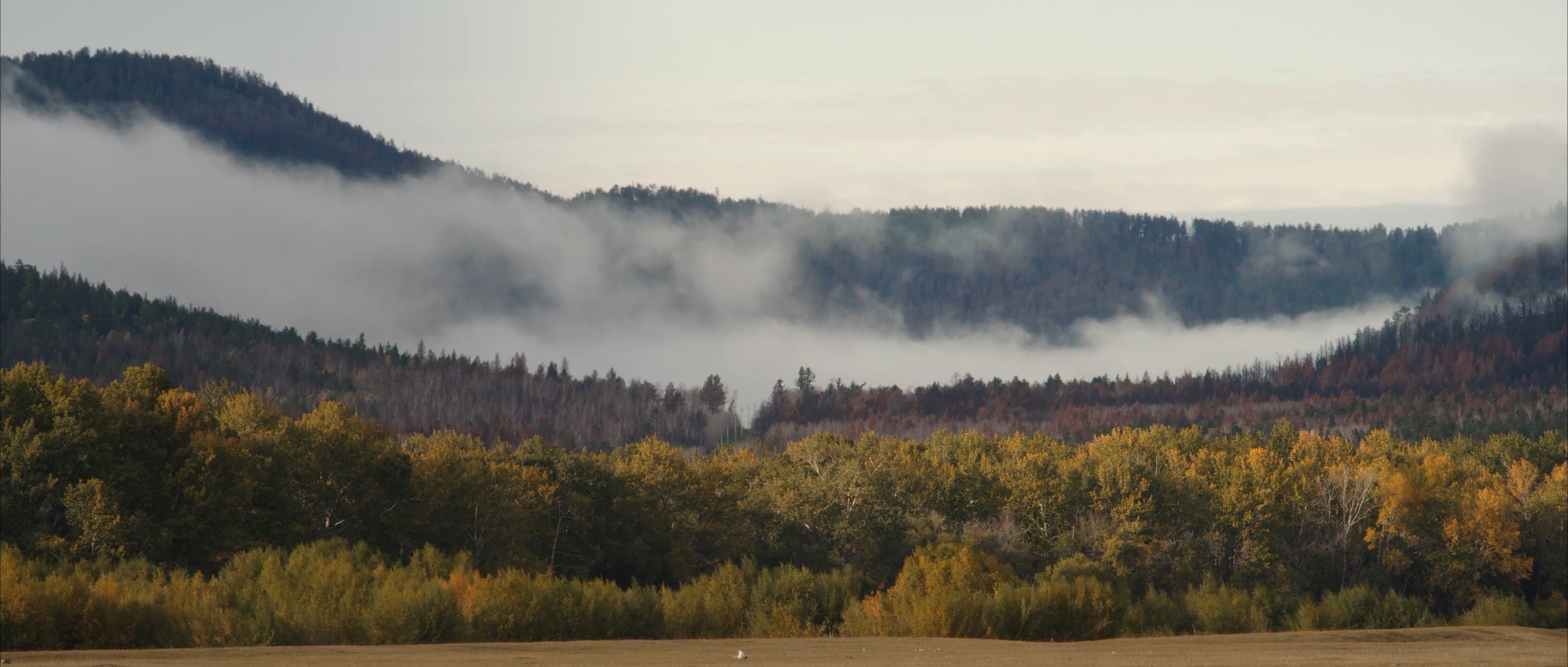 &ldquo;Off the Air (2021)&rdquo;